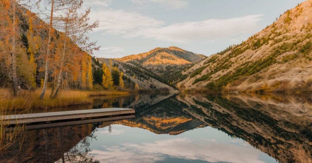 Fun and Playful Nature Captions for Instagram