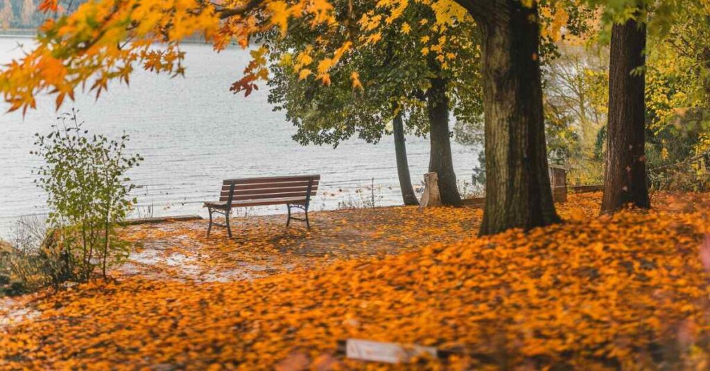 Heartfelt Hill Station Captions to Share Your Memories