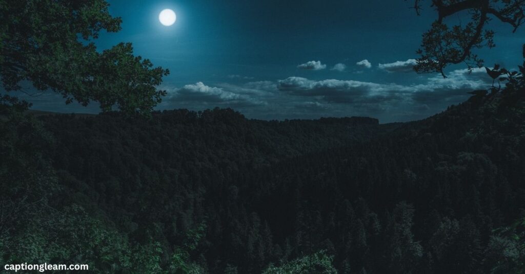 Peaceful Good Night Quotes