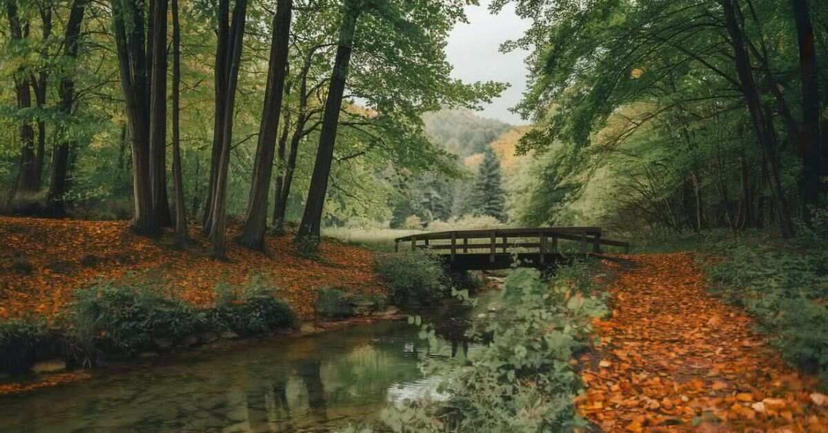 nature-love-caption-for-instagram-to-inspire-your-posts